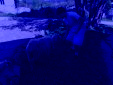 IMG 20260408 WA0015