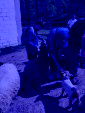 IMG 20260408 WA0022