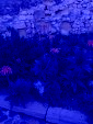 IMG 20250402 WA0004