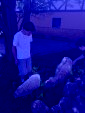 IMG 20260408 WA0021