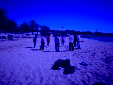 IMG 20250401 WA0019