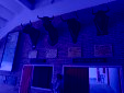 IMG 20260409 WA0021