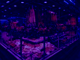 IMG 20250402 WA0007