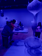 IMG 20260409 WA0029