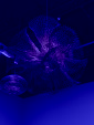 IMG 20260409 WA0028