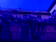 IMG 20250403 WA0021