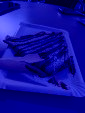 IMG 20250402 WA0001