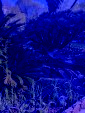 IMG 20260406 WA0007