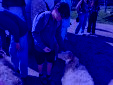 IMG 20260408 WA0010